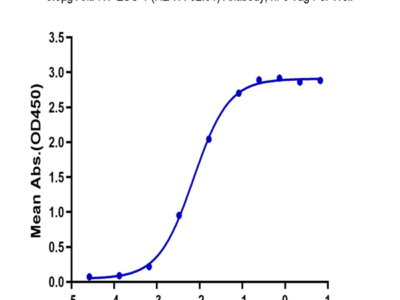 Human HLA-A*02