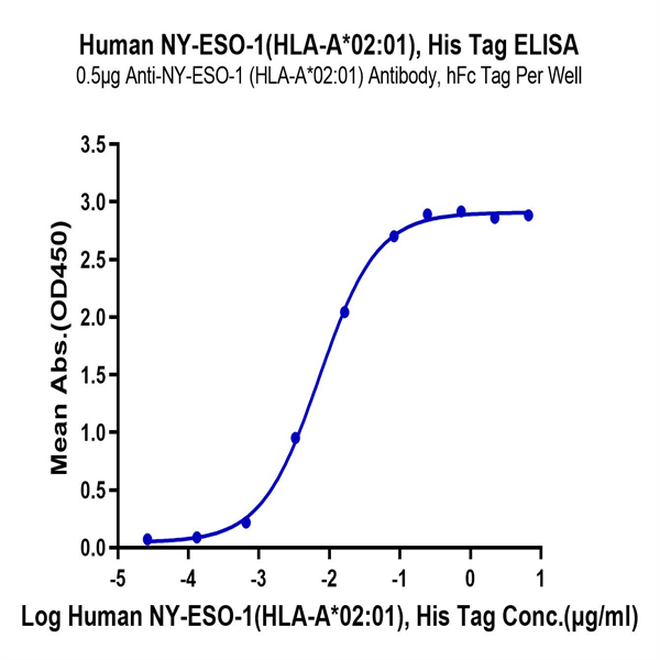 Human HLA-A*02 Human HLA-A*02