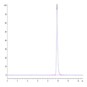 Human HLA-A*02
