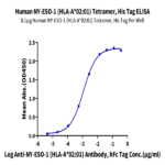 Human HLA-A*02