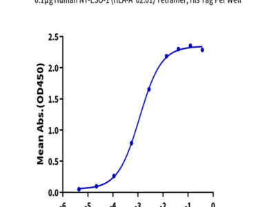 Human HLA-A*02