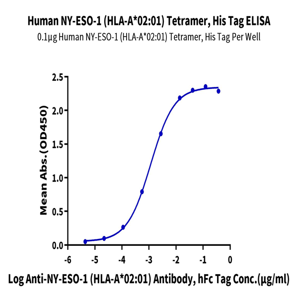 Human HLA-A*02 Human HLA-A*02