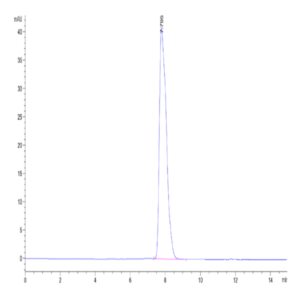 Human HLA-A*02
