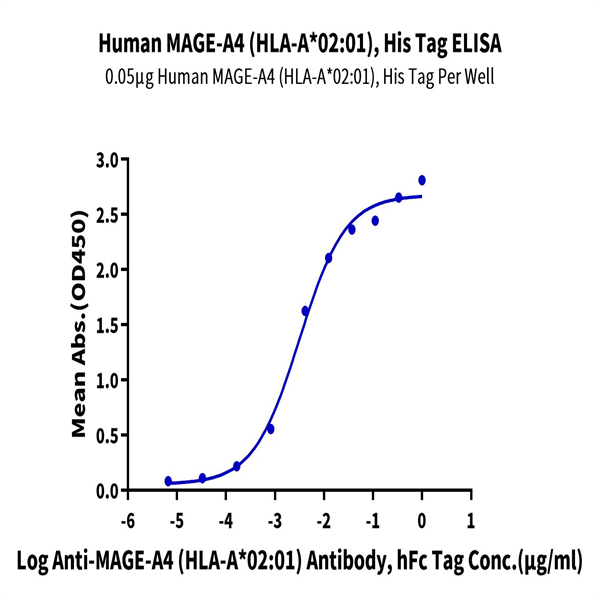 Human HLA-A*02 Human HLA-A*02