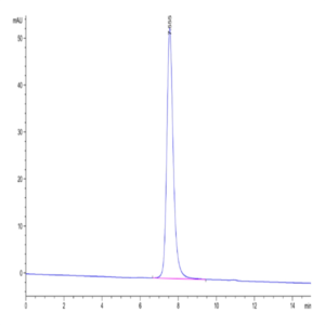 Human HLA-A*02