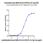 Biotinylated Human HLA-A*02