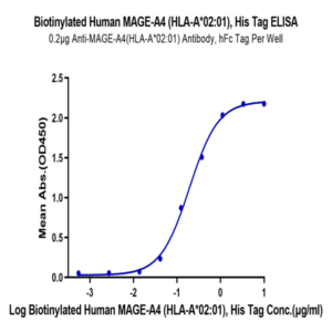 Biotinylated Human HLA-A*02