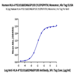 Human HLA-A*02