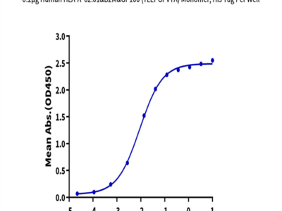 Human HLA-A*02