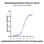 Biotinylated Human HLA-A*02
