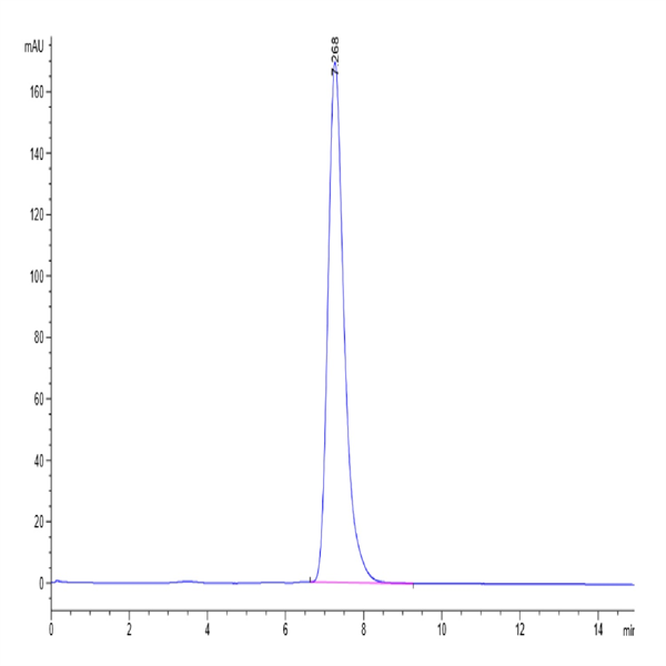 Biotinylated Human HLA-A*02
