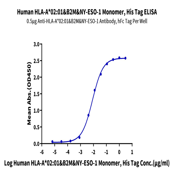 Human HLA-A*02