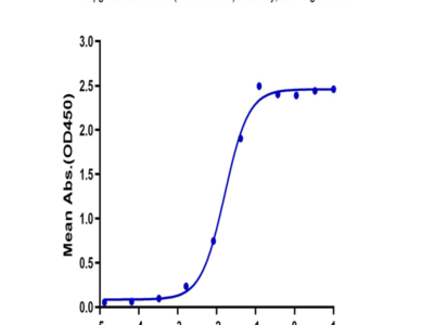 Biotinylated Human HLA-A*02