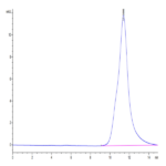 Biotinylated Human HLA-A*02