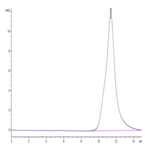 Biotinylated Human HLA-A*02