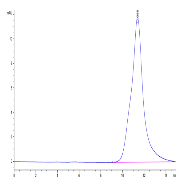 Biotinylated Human HLA-A*02