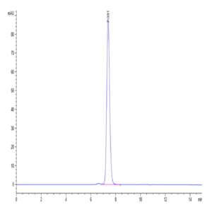 Human HLA-E*01