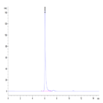 Biotinylated Human HLA-E*01