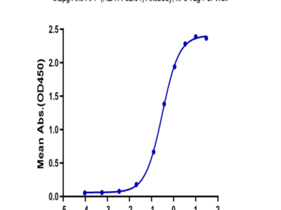 Biotinylated Human HLA-A*02