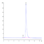 Biotinylated Human HLA-A*02