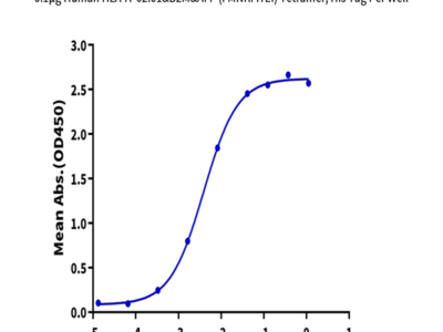 Human HLA-A*02