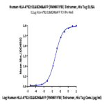 Human HLA-A*02