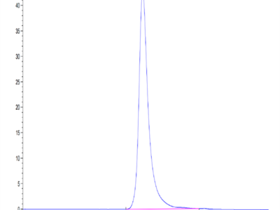 Human HLA-A*02