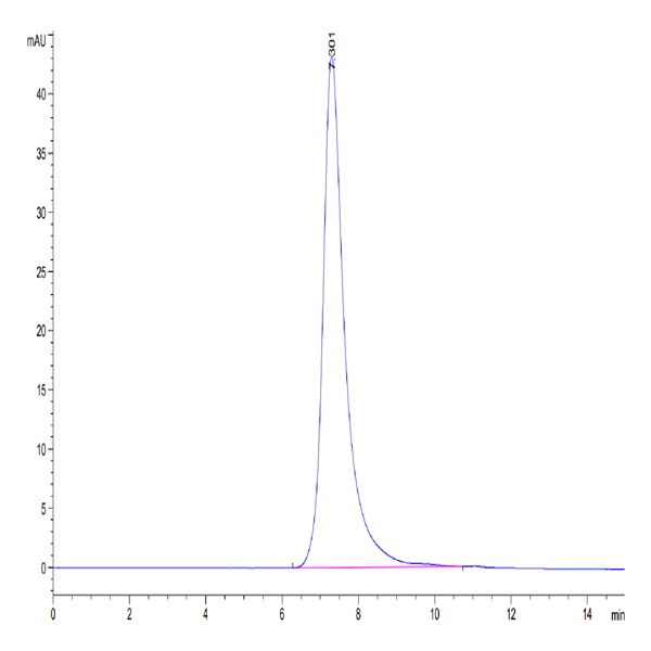 Human HLA-A*02 Human HLA-A*02