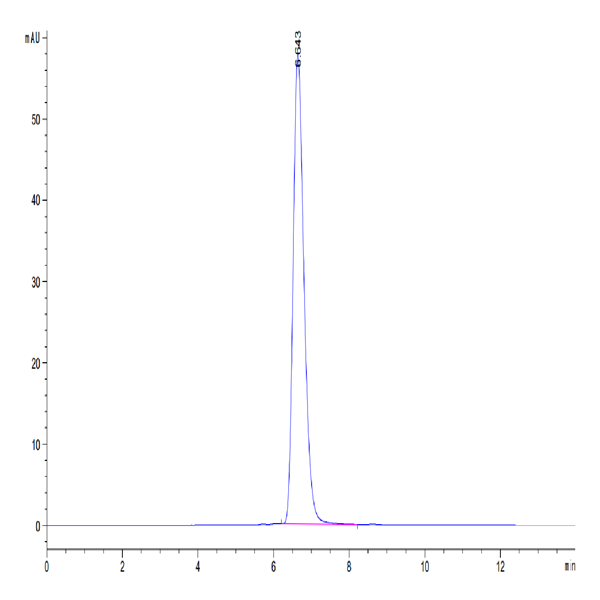 Human HLA-A*02 Human HLA-A*02