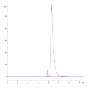 Human HLA-A*02