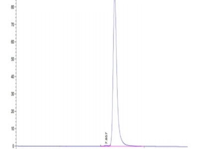 Biotinylated Human HLA-A*02