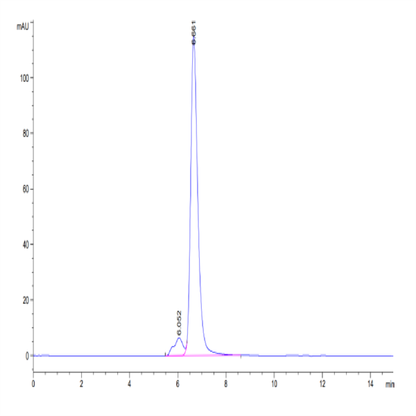 Human HLA-A*02 Human HLA-A*02