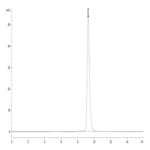 Human HLA-E*01