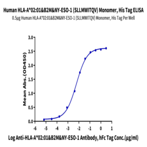 Human HLA-A*02