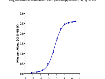 Human HLA-A*02