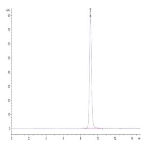 Human HLA-A*02