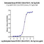 Biotinylated Human HLA-A*02
