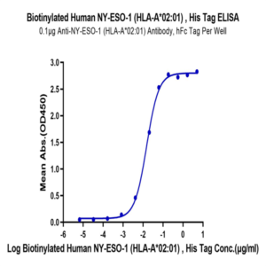 Biotinylated Human HLA-A*02