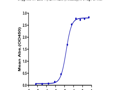 Biotinylated Human HLA-A*02