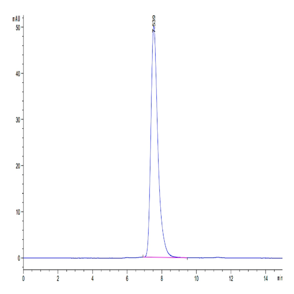 Biotinylated Human HLA-A*02