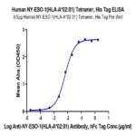 Human HLA-A*02