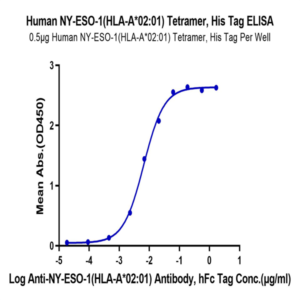Human HLA-A*02