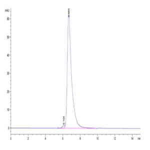 Human HLA-A*02