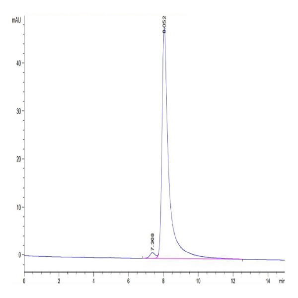 Human HLA-A*11