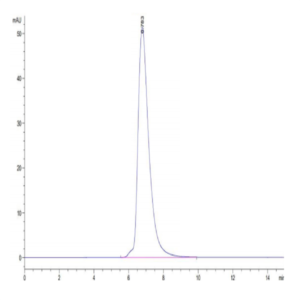 Human HLA-A*11
