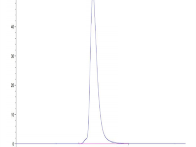 Human HLA-A*11