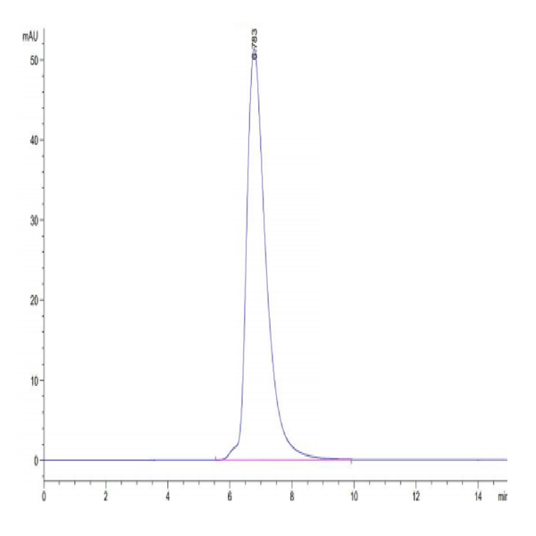 Human HLA-A*11