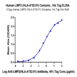 Human HLA-A*02