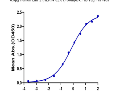 Human HLA-A*02