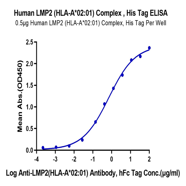 Human HLA-A*02